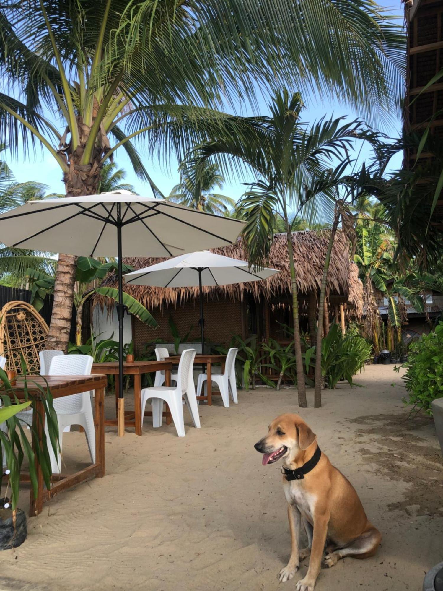 Zhaya'S Beach & Cottages El Nido Buitenkant foto