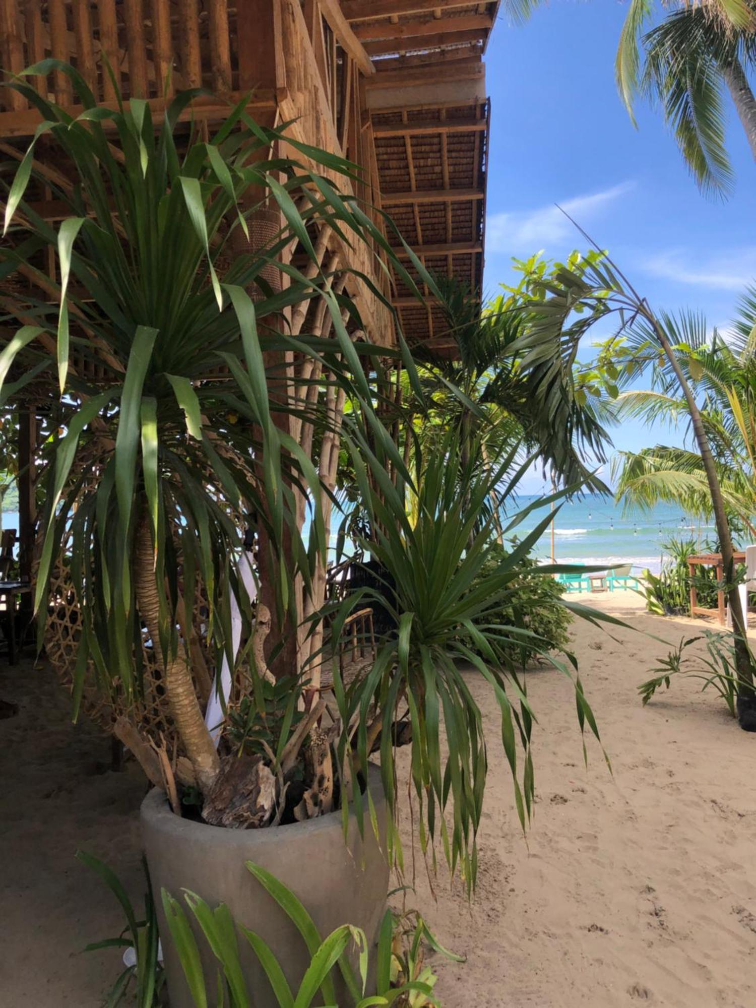 Zhaya'S Beach & Cottages El Nido Buitenkant foto